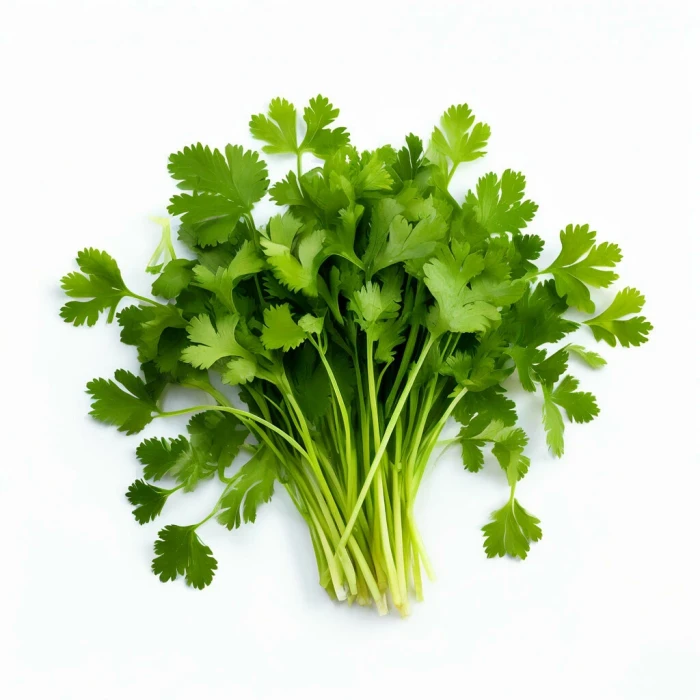 Кинза мест.