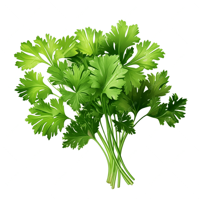 Петрушка мест.