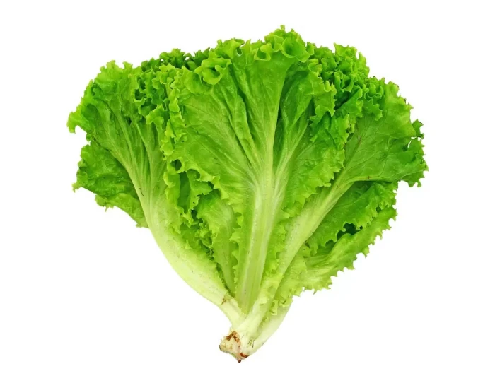 Листья Салата мест.